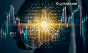 crypings.com